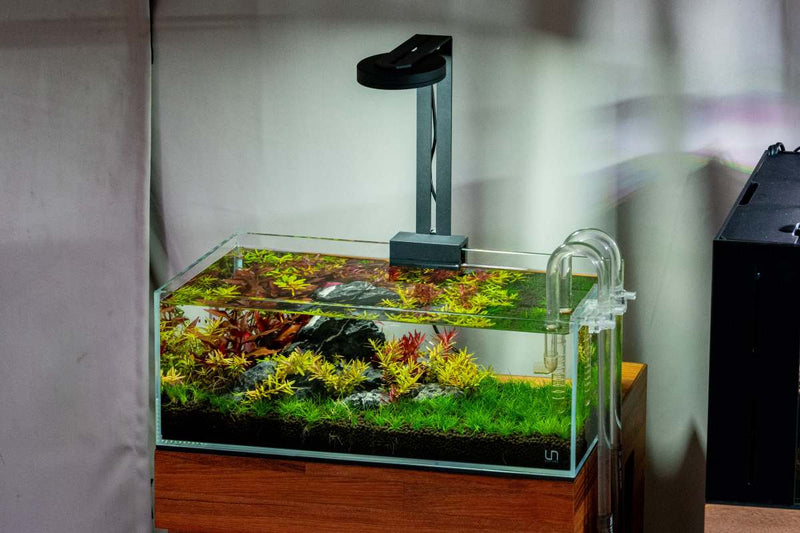 Aqua Worx SOL Light Kit - Clamp Lighting - Buce Plant