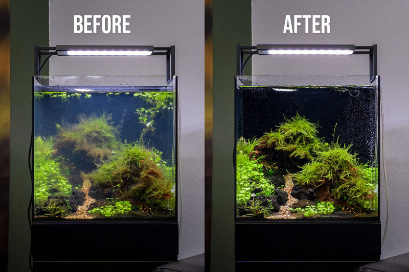 Aquario Neo Clean water conditioner bottle for aquarium water treatment, featuring the Aquario brand label.