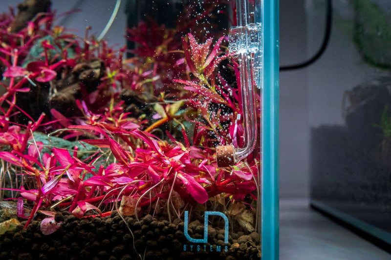 Aquario Neo CO2 Normal Diffuser - Tiny CO2 - Buce Plant
