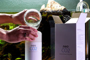 Aquario Neo CO2 - DIY CO2 Kit CO2 - Buce Plant