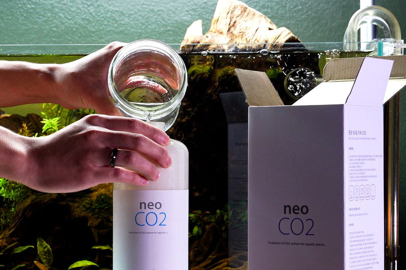 Aquario Neo CO2 - DIY CO2 Kit CO2 - Buce Plant