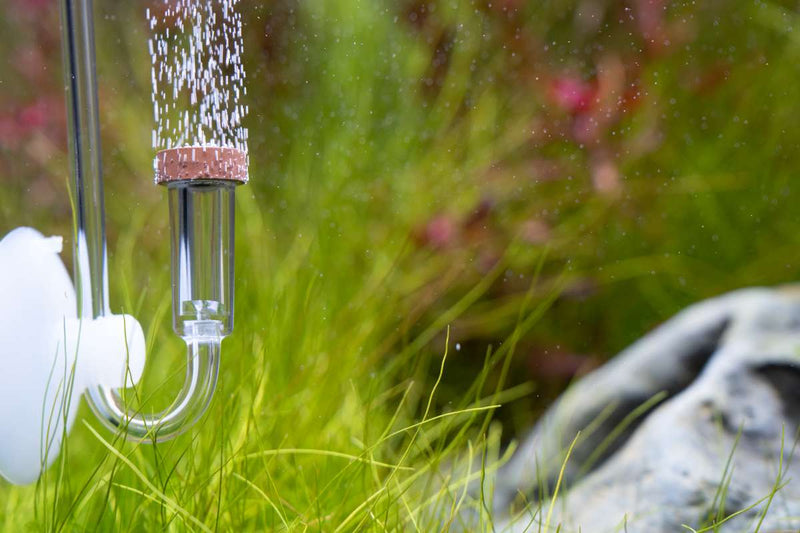 Aquario Neo CO2 Extended Original Diffuser for aquarium CO2 injection, showing the diffuser with its extended design and fittings.