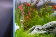 Aquario Neo CO2 Extended Original Diffuser for aquarium CO2 diffusion, compact design with ceramic diffuser element.