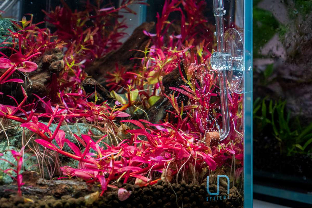 Aquario Neo CO2 Tiny Diffuser for aquarium CO2 systems, compact glass diffuser with ceramic disc for efficient gas dispersion.