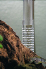 Aquario Neo Inlet Accessories - Buce Plant