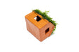 Aquarium Moss on Clay House