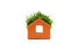 Aquarium Moss on Clay House