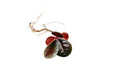 Ardisia Sp Tricolor Type 2 terrarium plant with vibrant green, red, and purple foliage in a natural setting.