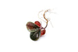 BUCE Ardisia Sp Tricolor Type 2 terrarium plant with vibrant green, red, and purple foliage, ideal for indoor terrarium decor.