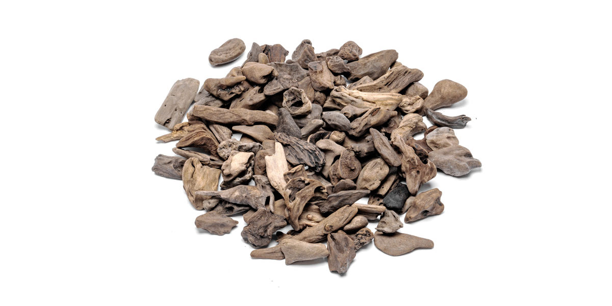 Assorted Accent Wood — Buce Plant