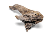 Assorted driftwood accent pieces from UNSHARDSCAPE, natural wood with unique shapes for decorative or craft use.