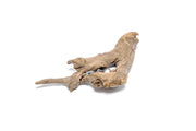 Assorted driftwood accent pieces from UNSHARDSCAPE, natural wood textures ideal for home decor or craft projects.