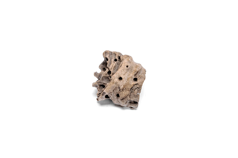 Assorted driftwood accent pieces from UNSHARDSCAPE, showcasing natural, weathered wood with unique shapes and textures.