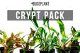 Assorted Cryptocoryne Plant Pack