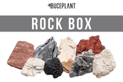 Assorted Rock Box Hardscape - Buce Plant