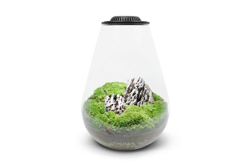 Bio Bowl Terrarium Kit from Ultum Nature Systems, featuring a clear glass aquarium with plants and natural decor for small ecosystems.