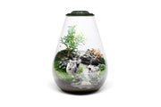 Ultum Nature Systems Bio Bowl Terrarium Aquarium Kit with glass bowl, plants, and accessories for creating a mini ecosystem.