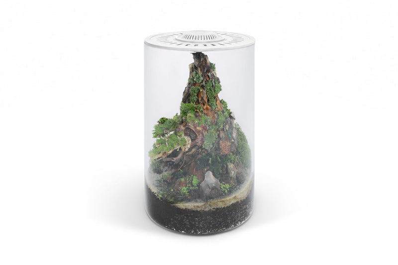 Bio Cylinder Terrarium Kit Aquarium Kit - Buce Plant