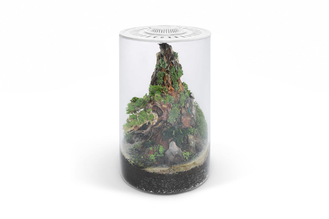 Ultum Nature Systems Bio Cylinder Terrarium Aquarium Kit with glass cylinder, plants, and accessories for creating a mini aquatic ecosystem.