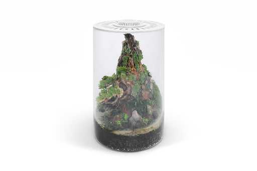 Ultum Nature Systems Bio Cylinder Terrarium Aquarium Kit with glass cylinder, plants, and accessories for creating a mini aquatic ecosystem.
