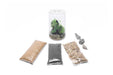 Clear glass Bio Cylinder Terrarium Aquarium Kit by Ultum Nature Systems with natural plants and decorative elements inside.