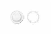 Bio Cylinder Terrarium Kit Aquarium Kit - Buce Plant