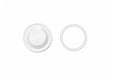 Ultum Nature Systems Bio Cylinder Terrarium Aquarium Kit with glass cylinder, plants, and accessories for creating a mini ecosystem.