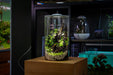 Ultum Nature Systems Bio Cylinder Terrarium Aquarium Kit with clear glass cylinder and natural plant setup inside.