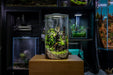 Ultum Nature Systems Bio Cylinder Terrarium Kit with aquarium components in a clear cylindrical container.