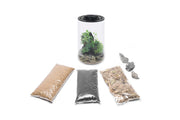 Bio Cylinder Terrarium Kit Aquarium Kit - Buce Plant