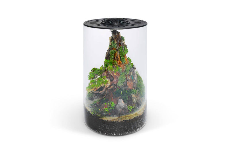 Bio Cylinder Terrarium Kit Aquarium Kit - Buce Plant
