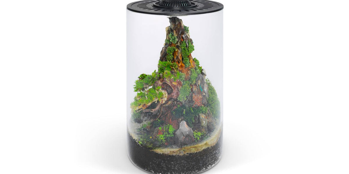 Bio Cylinder Terrarium Kit