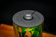 Bio Cylinder Terrarium Kit Aquarium Kit - Buce Plant