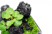 Black Lava Rock stone by UNSHARDSCAPE, showing textured volcanic black stone suitable for landscaping or decorative uses.