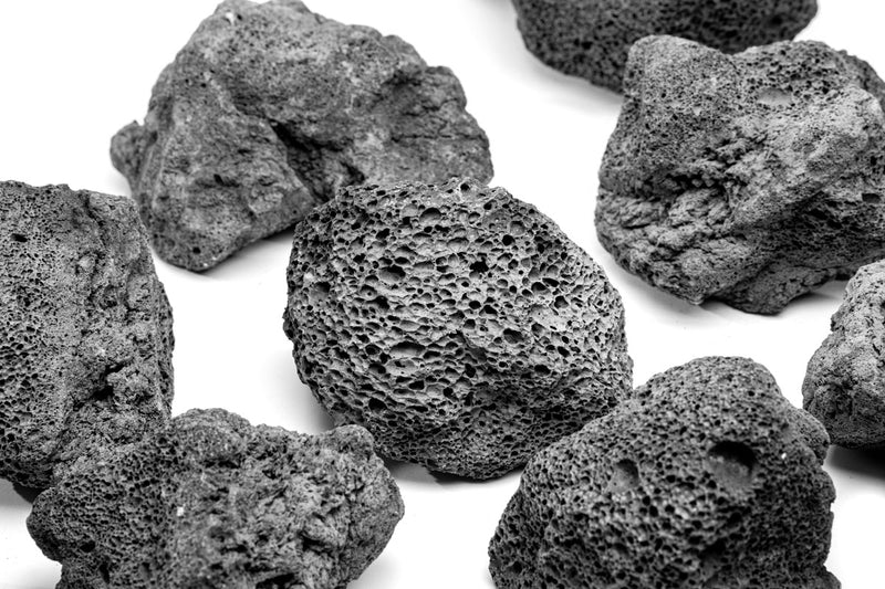 Assorted Rock Box Hardscape - Buce Plant
