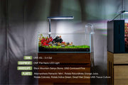 UNS 45L - 3.4 Gallon Ultra Clear Rimless Aquarium Rimless Tanks - Buce Plant