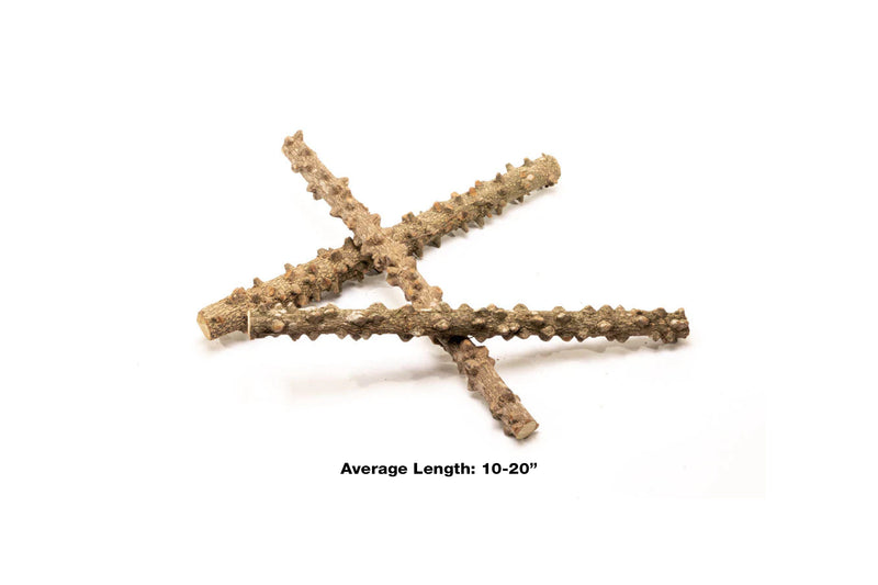 Blistered driftwood sticks from UNSHARDSCAPE showcasing weathered, textured driftwood pieces ideal for crafting or decor.