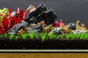 Blue Mountain Seiryu Stone Stone - Buce Plant