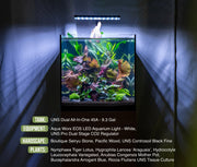 UNS 45A - 9.3 Gallon Dual AIO Rimless Aquarium Rimless Tanks - Buce Plant