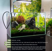 UNS 45U - 9.3 Gallon Ultra Clear Rimless Aquarium Rimless Tanks - Buce Plant