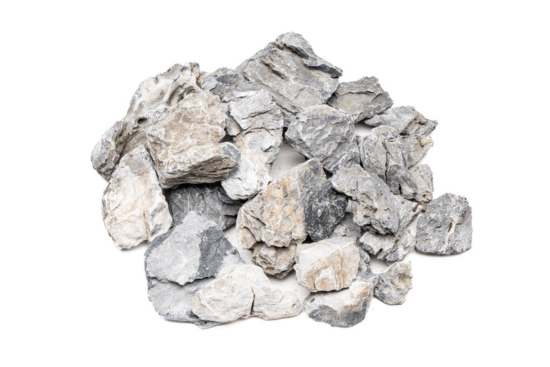Boutique Seiryu Stone Stone - Buce Plant
