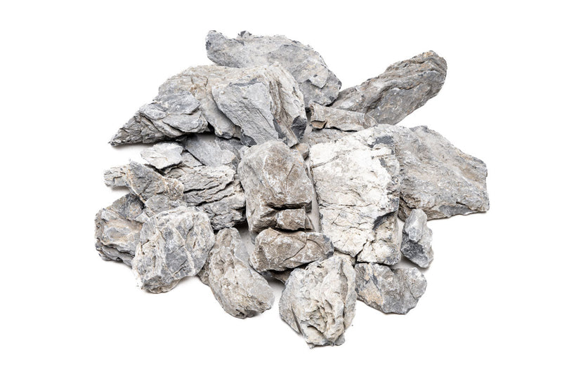 Boutique Seiryu Stone Stone - Buce Plant