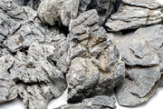 Boutique Seiryu Stone Stone - Buce Plant