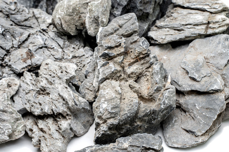 Boutique Seiryu Stone Stone - Buce Plant
