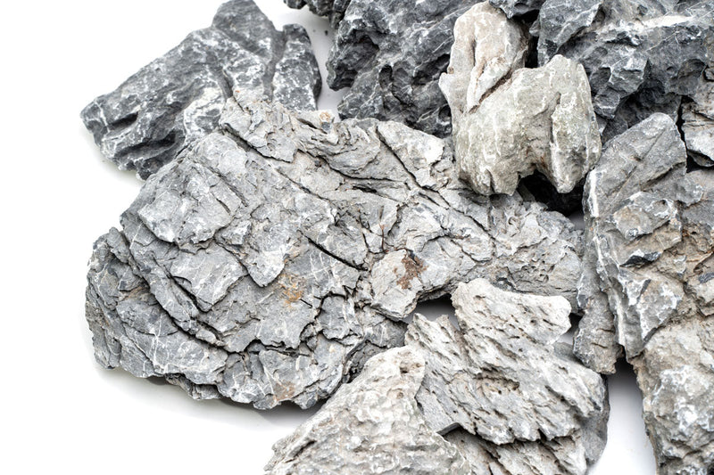 Boutique Seiryu Stone Stone - Buce Plant