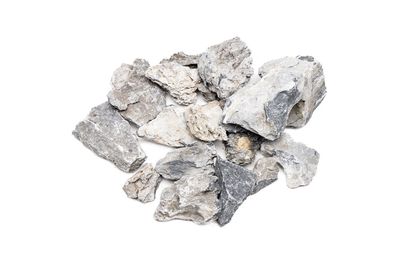Boutique Seiryu Stone Stone - Buce Plant