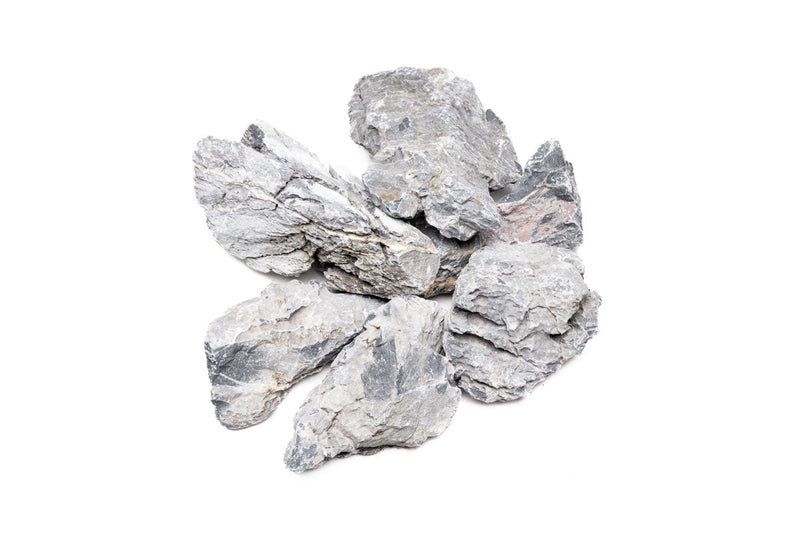 Boutique Seiryu Stone Stone - Buce Plant