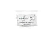 Bucephalandra Brownie Phoenix Aquatic Farmer Tissue Culture Tissue Culture - Buce Plant
