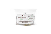 Bucephalandra Kedagang Round Mini Tissue Culture Tissue Culture - Buce Plant