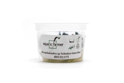 Bucephalandra Sekadau Giant Blue Aquatic Farmer Tissue Culture Tissue Culture - Buce Plant